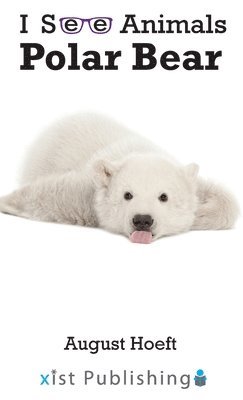 Polar Bear 1