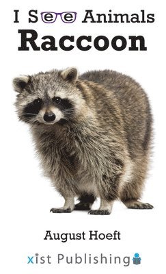 bokomslag Raccoon