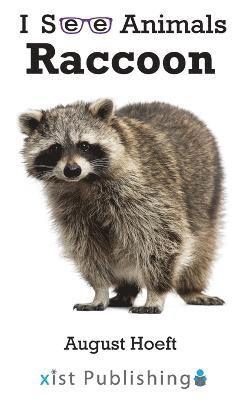 Raccoon 1