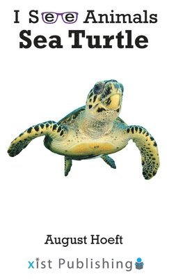 bokomslag Sea Turtle