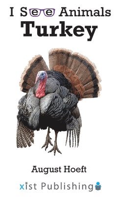 Turkey 1