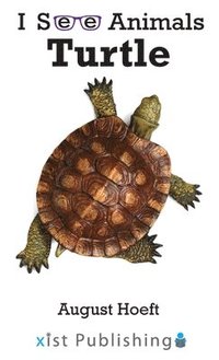 bokomslag Turtle