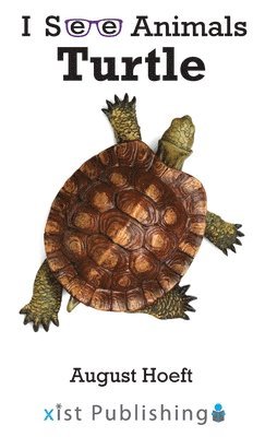 bokomslag Turtle