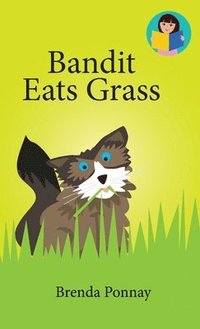 bokomslag Bandit Eats Grass