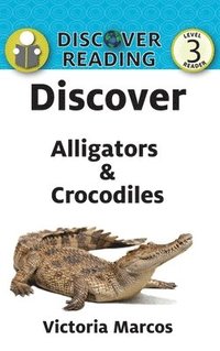bokomslag Discover Alligators & Crocodiles