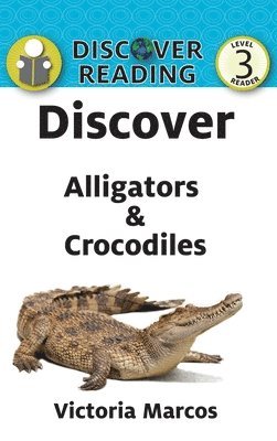 bokomslag Discover Alligators & Crocodiles