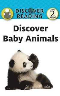bokomslag Discover Baby Animals