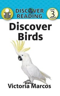 bokomslag Discover Birds
