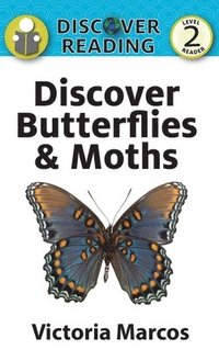 bokomslag Discover Butterflies & Moths