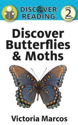 Discover Butterflies & Moths 1