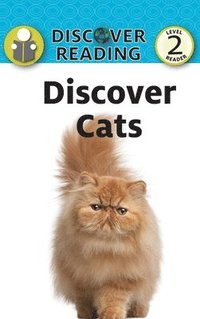 bokomslag Discover Cats