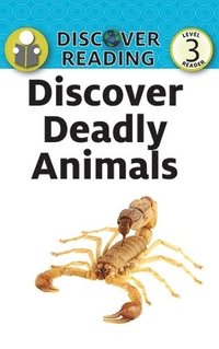 bokomslag Discover Deadly Animals