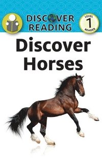 bokomslag Discover Horses