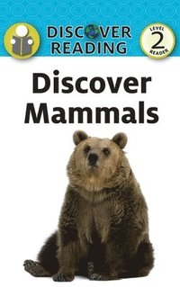 bokomslag Discover Mammals