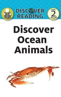 bokomslag Discover Ocean Animals