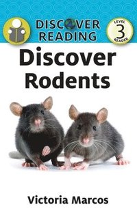 bokomslag Discover Rodents