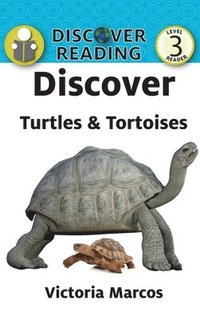 bokomslag Discover Turtles & Tortoises