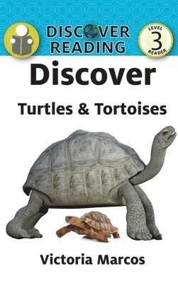 bokomslag Discover Turtles & Tortoises