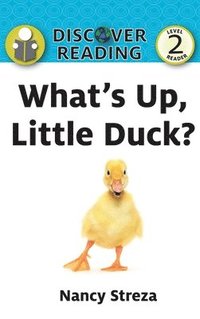 bokomslag What's Up Little Duck