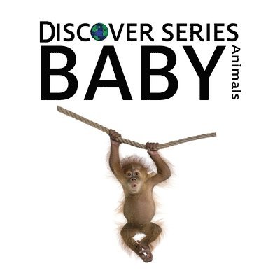 Xist Publishing - Baby Animals, Inbunden