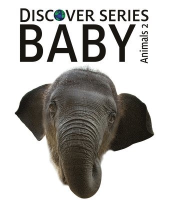 Xist Publishing - Baby Animals 2, Inbunden