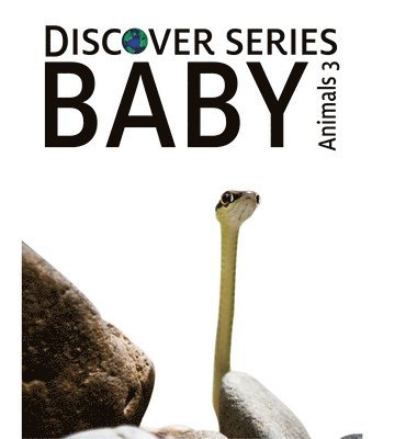 Xist Publishing - Baby Animals 3, Inbunden