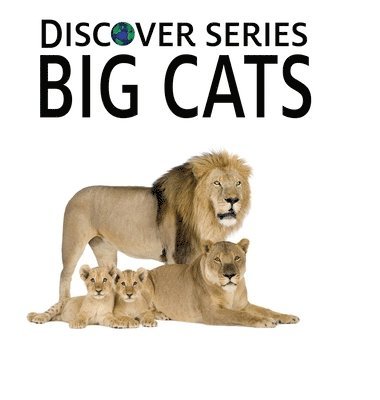 Big Cats 1