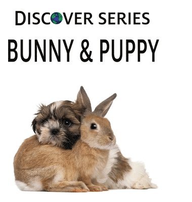bokomslag Bunny & Puppy