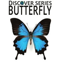 bokomslag Butterfly