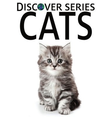 Xist Publishing - Cats, Inbunden