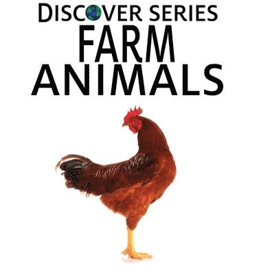 bokomslag Farm Animals
