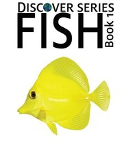 bokomslag Fish