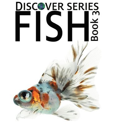 bokomslag Fish 3