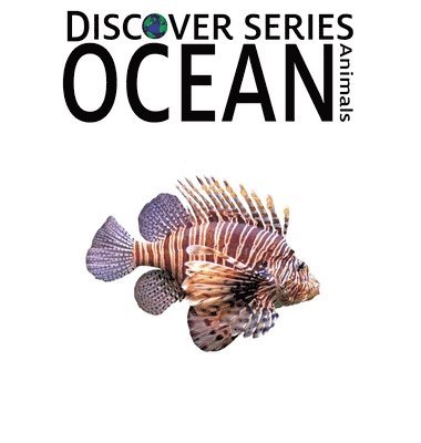 Xist Publishing - Ocean Animals, Inbunden