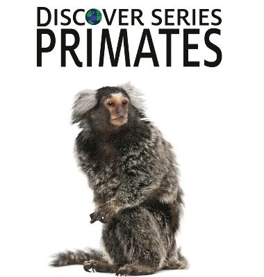 Primates 1