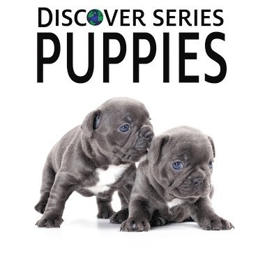 bokomslag Puppies