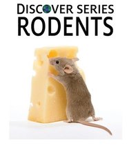 bokomslag Rodents