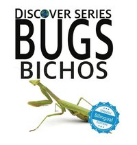 bokomslag Bugs / Bichos