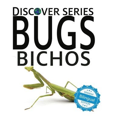 Bugs / Bichos 1