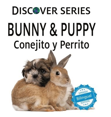 Xist Publishing - Bunny & Puppy / Conejito y Perrrito, Inbunden