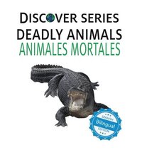 bokomslag Deadly Animals / Animales Mortales
