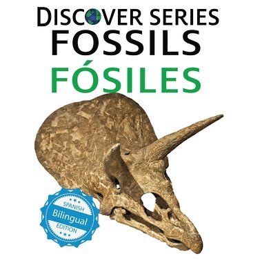 bokomslag Fossils / Fsiles