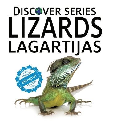 Xist Publishing - Lizards / Lagartijas, Inbunden