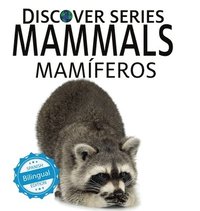 bokomslag Mammals / Mamferos