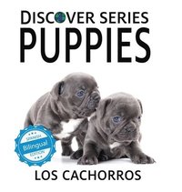 bokomslag Puppies / Los cachorros