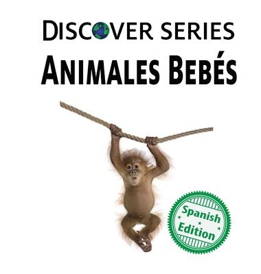 Xist Publishing - Animales Bebés, Inbunden
