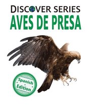 bokomslag Aves de Presa