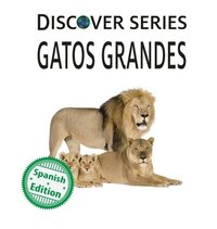 bokomslag Gatos Grandes