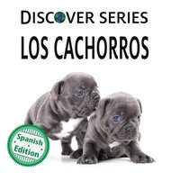 bokomslag cachorros