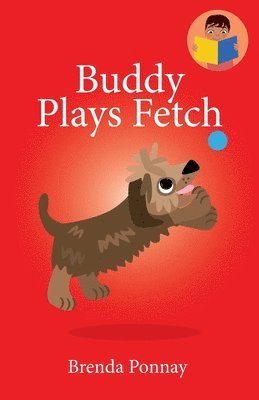 bokomslag Buddy Plays Fetch